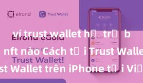 ví trust wallet hỗ trợ blockchain nft nào Cách tải Trust Wallet trên iPhone tại Việt Nam